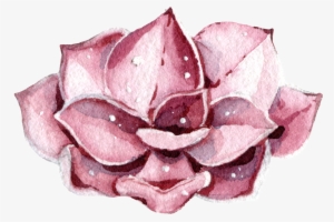 Pink Flowers Watercolor Hand-painted Transparent - Watercolor Painting
