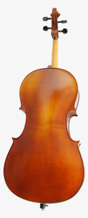 Pa600 - Willow Cello