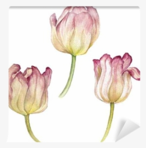 Watercolor Painting
