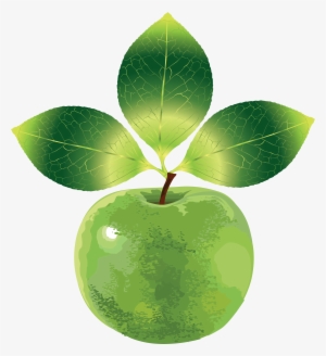 Green Apple Png Image Png Image - Vector Graphics