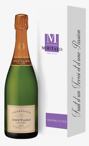 Champagne Moutard Rosé