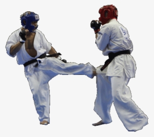 Martial Arts - Zendokai Karate