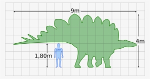 Open - Stegosaurus Human