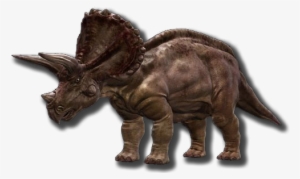 Triceratops - Triceratops Png