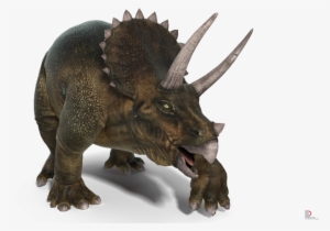 2 Triceratops Rigged Royalty-free 3d Model - Dinosaur