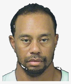 Image - Tiger Woods Drunk Driving