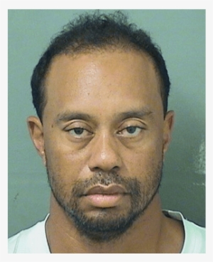 Tiger Woods - Tiger Woods Mugshot 2017