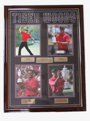 Tiger Woods Png
