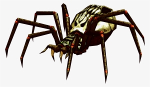 Evil Giant Spiders - Twilight Princess Skulltula Zelda