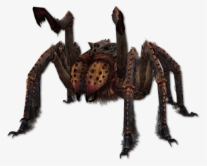 Frostbite Spiders Aren't Even Spiders - Spider Skyrim
