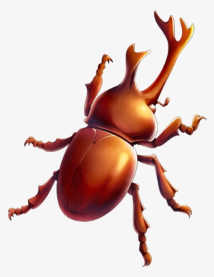 Magical Beetle Transparent - Beetle Insect Transparent Png