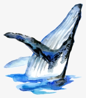 Blue Whale Global Media - Blue Whale