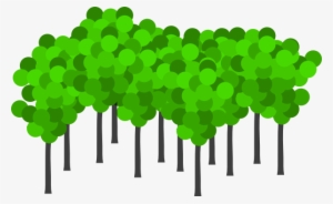 Bunch Of Cartoon Trees