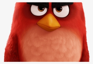 Red Bird The Angry Birds Movie Png Transparent Image - Film