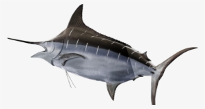 The Swordfish - Swordfish Png