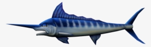 Download Zip Archive - Atlantic Blue Marlin