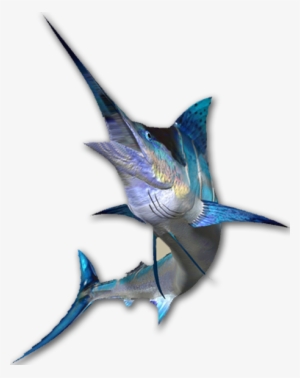 Swordfish - Ikan Marlin Png