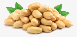 Crunchy Peanuts - Png Transparent Peanut Png