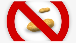 Dna Vaccine Candidate Asp0892 Approved For Clinical - Peanut Allergy
