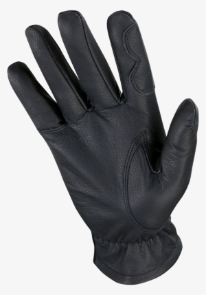 Transparent Gloves Hand - Heritage Gloves Kids Show Gloves - Kids Riding Gloves
