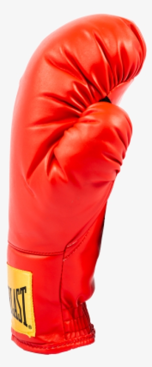 1 - Boxing Glove