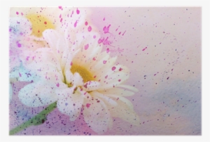 Chamomile's Flower And Watercolor Splatter Poster • - Watercolor Painting