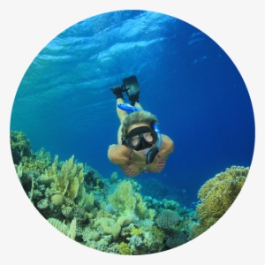 Fin Time Adventures Snorkel Vieques Image - Snorkeling Lovers Beach Cabo