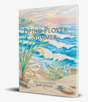 Piping Plover Summer - Piping Plover Summer [book]