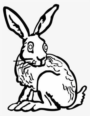 Hare Line Drawing At Getdrawings - Hare Drawing Png