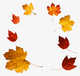 Autumn Leaves Png Icon - Autumn Png