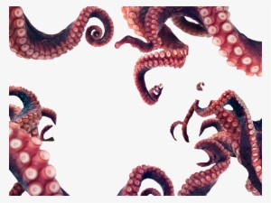 Transparent Octopus Tentacles Png