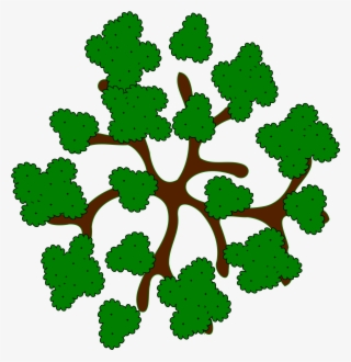 28 Collection Of Trees Clipart Top View - Tree Top View Cartoon