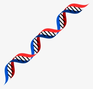 Dna Red And Blue
