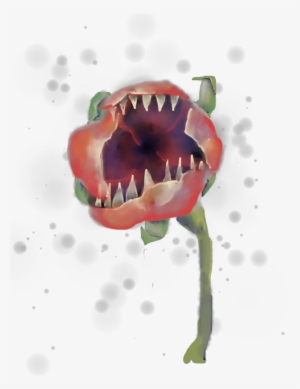 The Garden - Ensatina