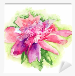 Pink Peony Flower, Watercolor Painting Wall Mural • - Watercolor Painting