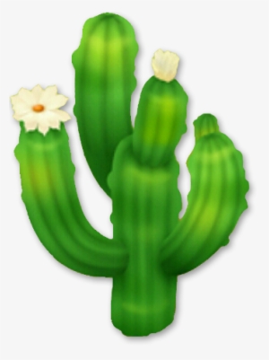 Saguaro Cactus - Cactus Png