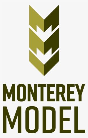 Monterey Model Logo Monterey Model Brochure - Amnesty International