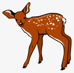 Mother And Baby Clipart Deer - White Tailed Deer Clipart