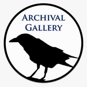 Archival Crow - Fish Crow