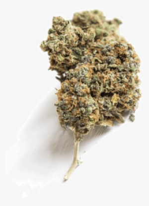 Free Cannabis Marijuana Arizona - Cannabis