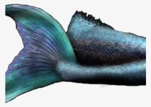 Transparent Mermaid Tail Png