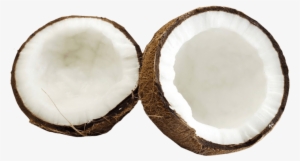 Coconut Png Image - Elongtress Fancy Oil - Hair Growth Enhancer (coconut