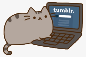 Cat On