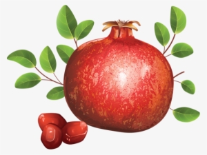 Pomegranate