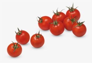 Fresh Tomato Png Download Image - Tomate Cerise Png
