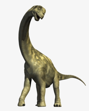 Dinosaur Png