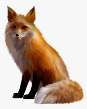 Fox Png