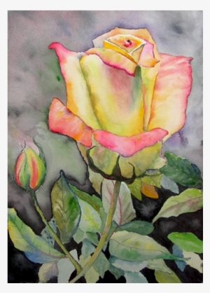 Maine Boats - Watercolor Paintings Of Yellow Roses