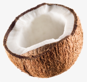 Jax Coco - Coconut Png