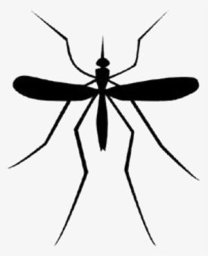 Mosquito Download Png - Mosquitos Logo
